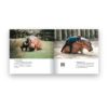 9786162986475-04.jpg หมูเด้ง Behind the Zoo / เบนซ์ อรรถพล หนุนดี / ขายหัวเราะสตูดิโอ