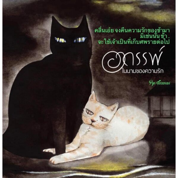 9786166162196-01.jpg อาถรรพ์ในนามของความรัก / Pyn Tazanavi