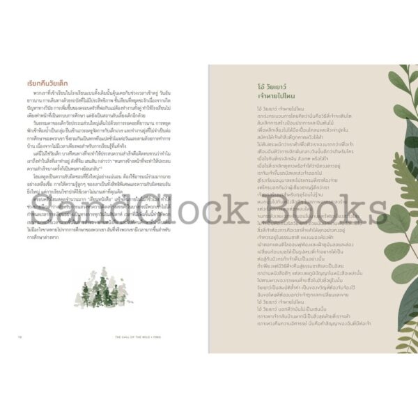 9786168255674-05.jpg คืนการเรียนรู้แห่งเยาว์วัย คืนหัวใจแห่งความเป็นเด็ก The Call of the Wild and Free / เอนสลีย์ อาร์เมนต์ / SandClock Books