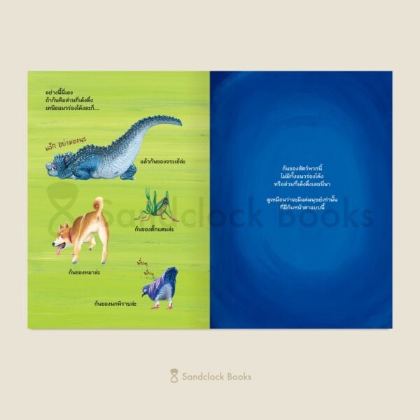 Pre-order (บอร์ดบุ๊ก) สารานุก้น / ซูซูกิ โนริทาเกะ / ณิชยา รักเกียรติงาม / Sandclock Books