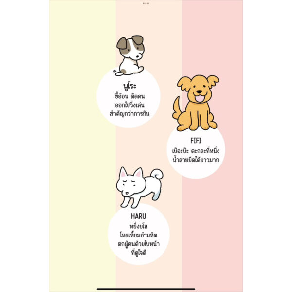 9786169429036-04.jpg บ้านนี้มีมะหมา / วานวาน / พัณณ์ชิตา ธนวีร์กิตติโชติ / แมงมุมบุ๊ก