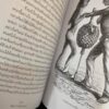 9789740216926-02.jpg หมู่เกาะมาเลย์ 1 The Malay Archipelago / อัลเฟรด รัสเซล วอลเลซ / มติชน