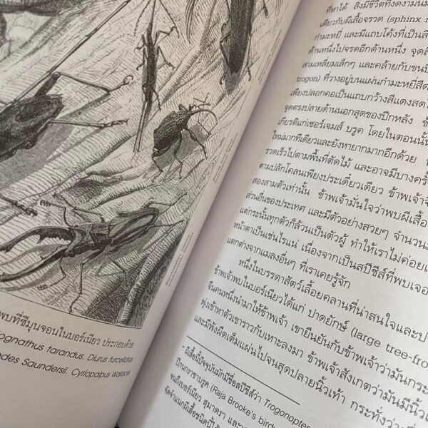 9789740216926-03.jpg หมู่เกาะมาเลย์ 1 The Malay Archipelago / อัลเฟรด รัสเซล วอลเลซ / มติชน