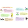 Wetland แดนมหัศจรรย์ / เมธิรา เกษมสันต์ / มูลนิธิโลกสีเขียว