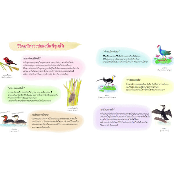 Wetland แดนมหัศจรรย์ / เมธิรา เกษมสันต์ / มูลนิธิโลกสีเขียว