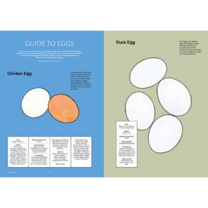 9791160361308-06.jpg (Eng) Magazine F Issue No.15 EGG / BRAND. BALANCE