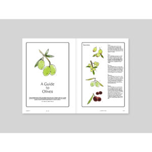 9791198108579-07.jpg (Eng) MAGAZINE F ISSUE NO.22 OLIVE