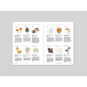 9791198108586-07.jpg (Eng) MAGAZINE F ISSUE NO.23 MUSHROOM