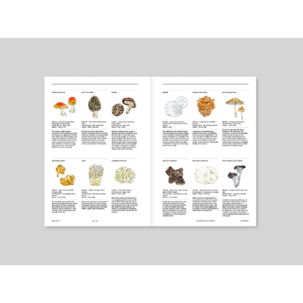 9791198108586-07.jpg (Eng) MAGAZINE F ISSUE NO.23 MUSHROOM