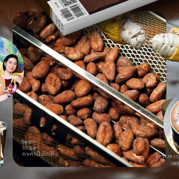 SarakadeeJan24-04.jpg นิตยสารสารคดี ฉบับ 466 มกราคม 2567 CHOCOLATE IN SIAM / สารคดี