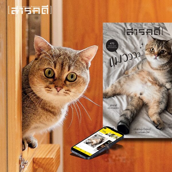 SarakadeeMay24-02.jpg นิตยสารสารคดี ฉบับ 470 พฤษภาคม 2567 แมวววว...เสียงจากเวทีประกวด บรีดเดอร์ ถึงทาสแมว / สารคดี