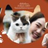 SarakadeeMay24-05.jpg นิตยสารสารคดี ฉบับ 470 พฤษภาคม 2567 แมวววว...เสียงจากเวทีประกวด บรีดเดอร์ ถึงทาสแมว / สารคดี
