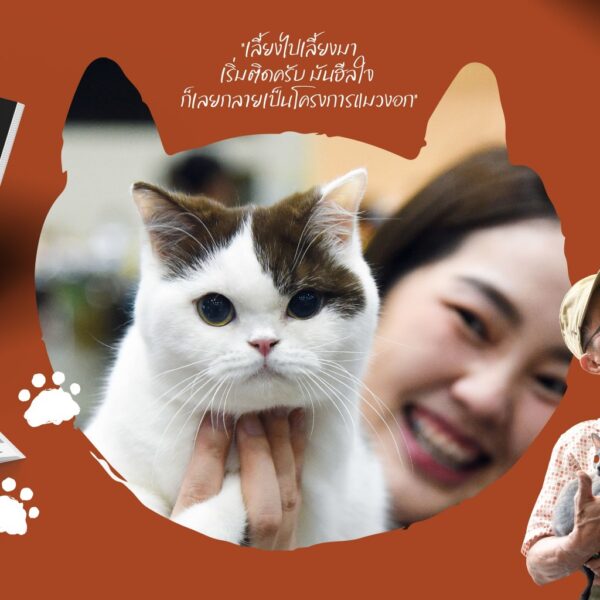 SarakadeeMay24-05.jpg นิตยสารสารคดี ฉบับ 470 พฤษภาคม 2567 แมวววว...เสียงจากเวทีประกวด บรีดเดอร์ ถึงทาสแมว / สารคดี