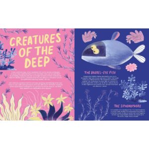 (Eng) anorak magazine – the deep sea – vol 67 / Studio Anorak